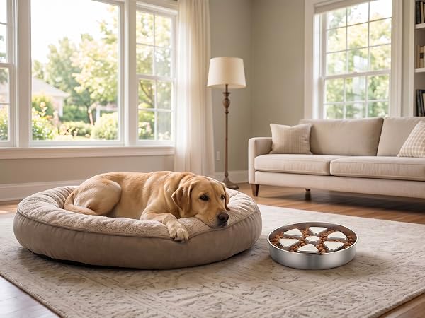 large dog slow feeder bowl