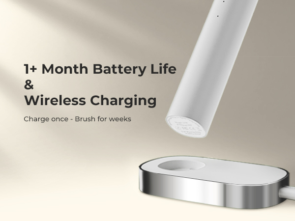 electric toothbrush for adults