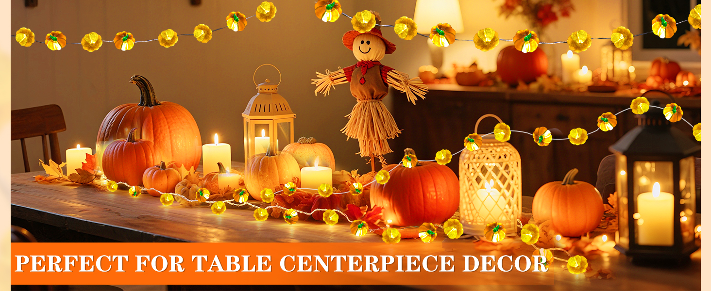 pumpkin lights-3