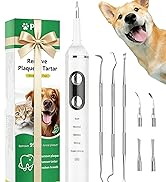 dental cleaning