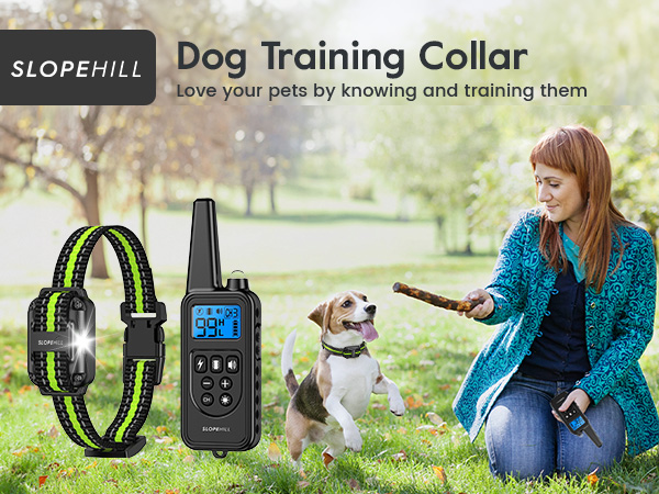 dog collar