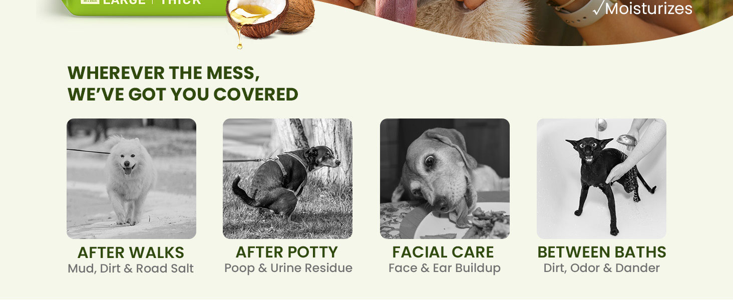 dog wipes for paws