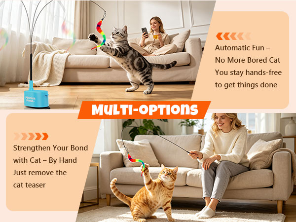 interactive cat toy