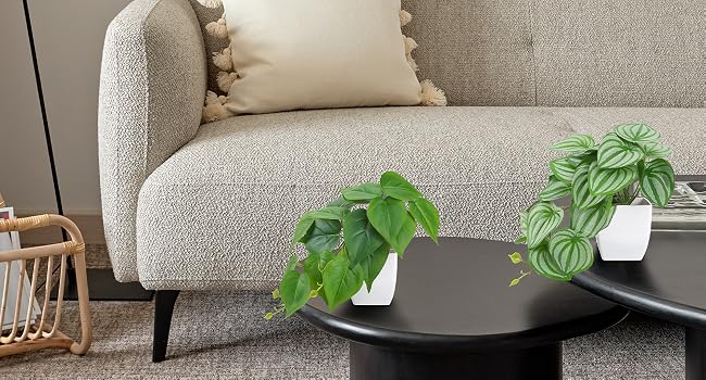 fake plants