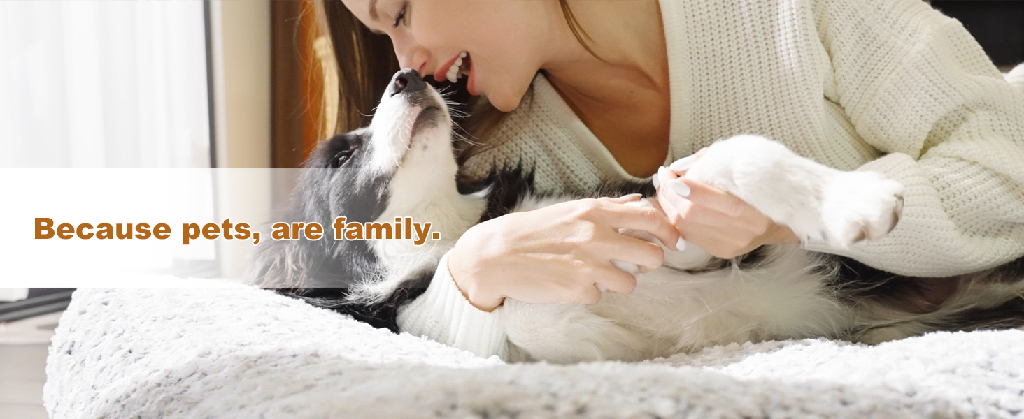 Build on better living with pets!