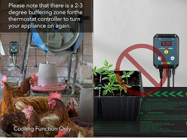 thermostat for reptiles