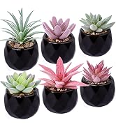 Hawesome Artificial Mini Succulents 6 Packs Faux Succulents in Ceramic Pots Fake Greenery Plant f...
