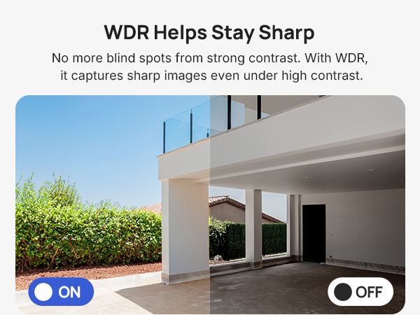 WDR Helps Stay Sharp