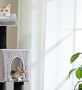 MUTTROS Large Cat Tree for Indoor Cats Large Adult, 57.8