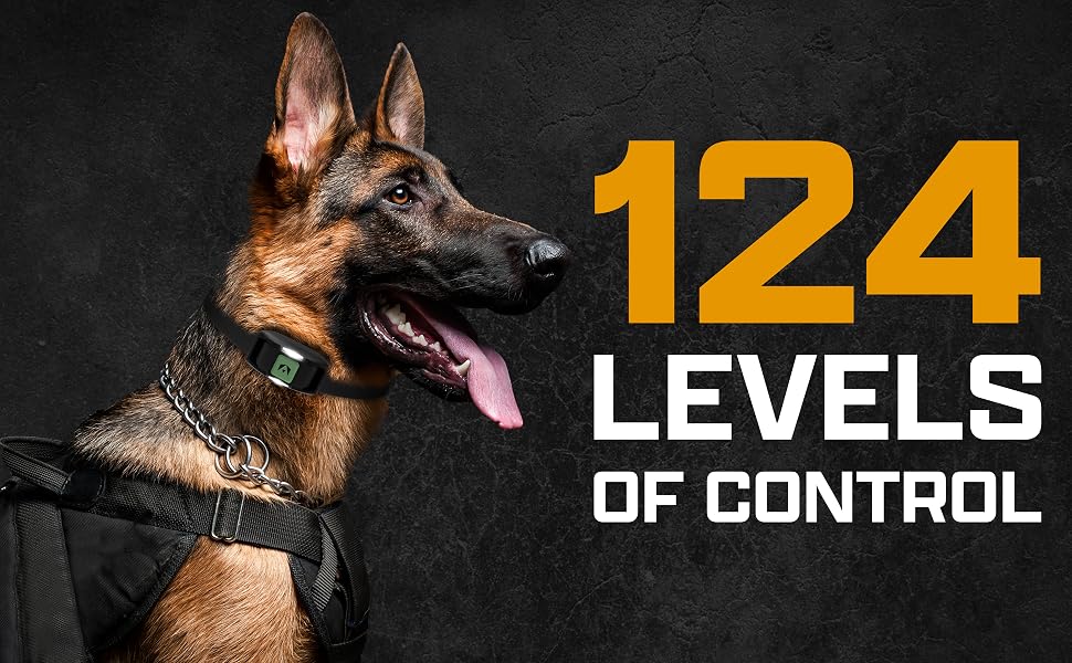 german shepherd invirox training collar