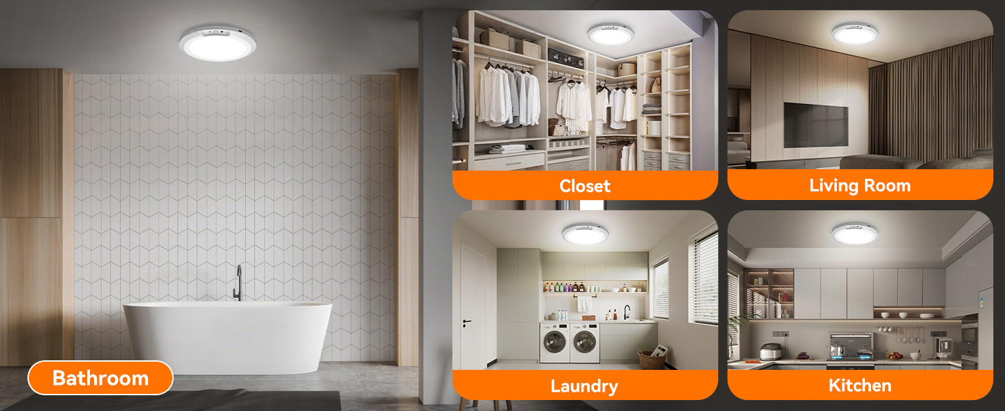 Motion Sensor Ceiling Light