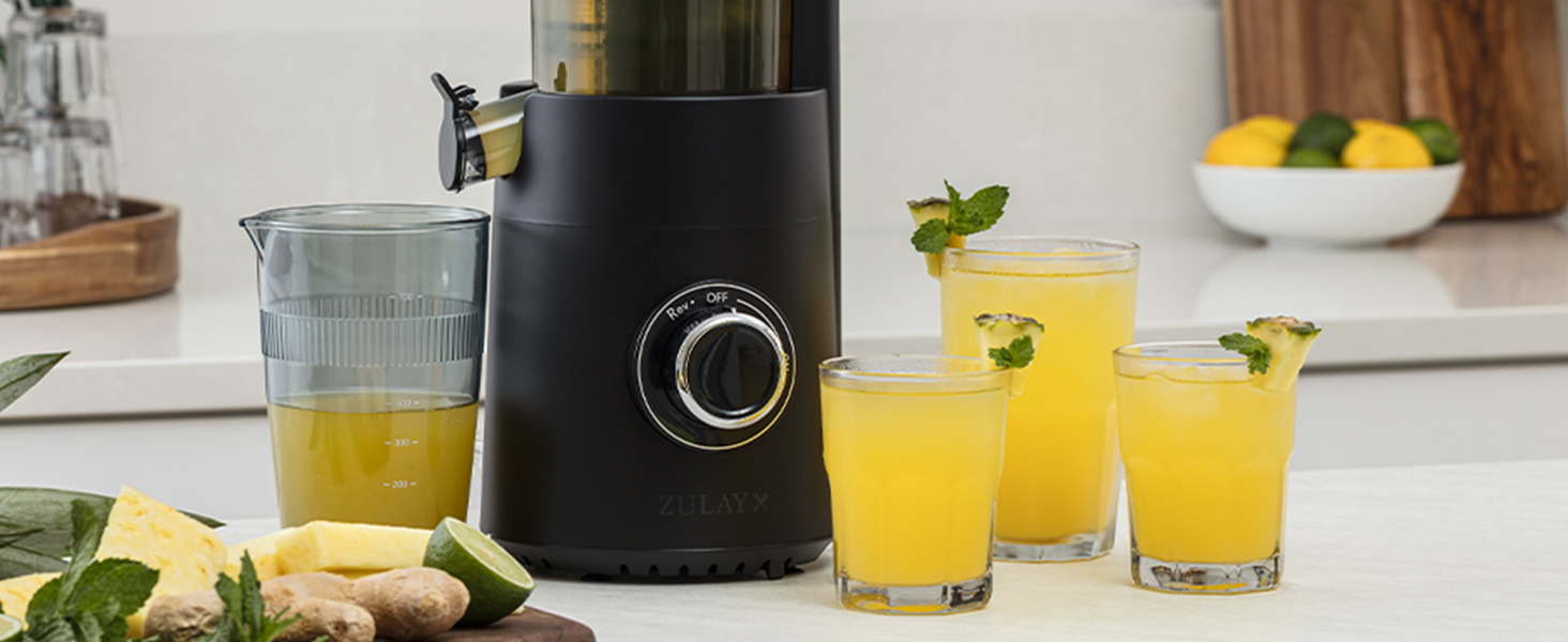 Masticating Juicer