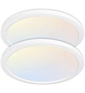 hykolity 2 Pack 12 Inch Selectable CCT LED Round Flat Panel Light, 24W 3000K/4000K/5000K, Edge-Li...