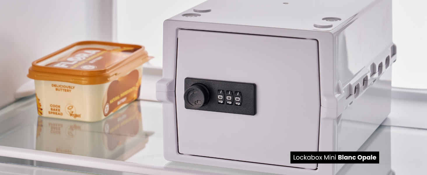 Food Lock Box