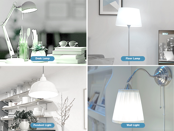 A19 LED Bulbs