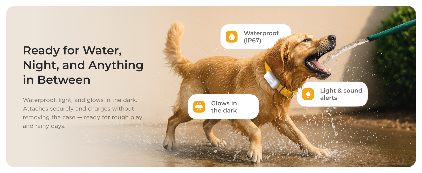 Petcube GPS Tracker for dogs