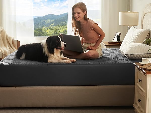 BEDLORE waterproof mattress protector