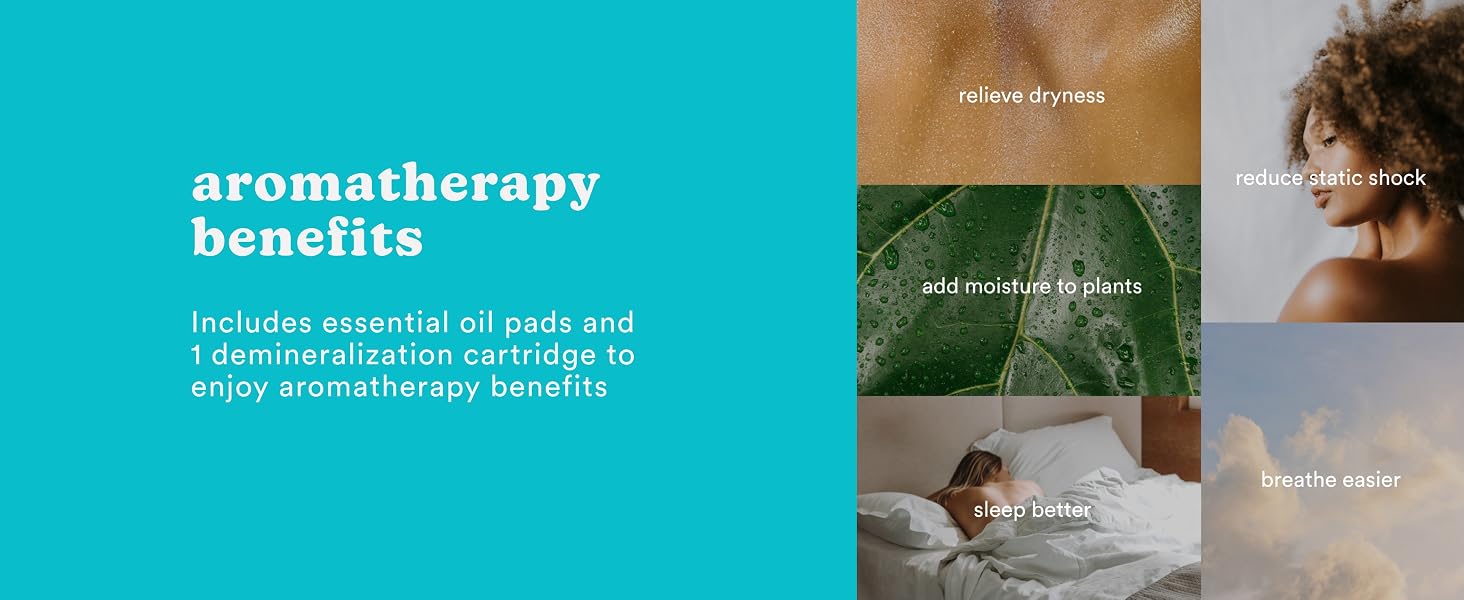 aromatherapy