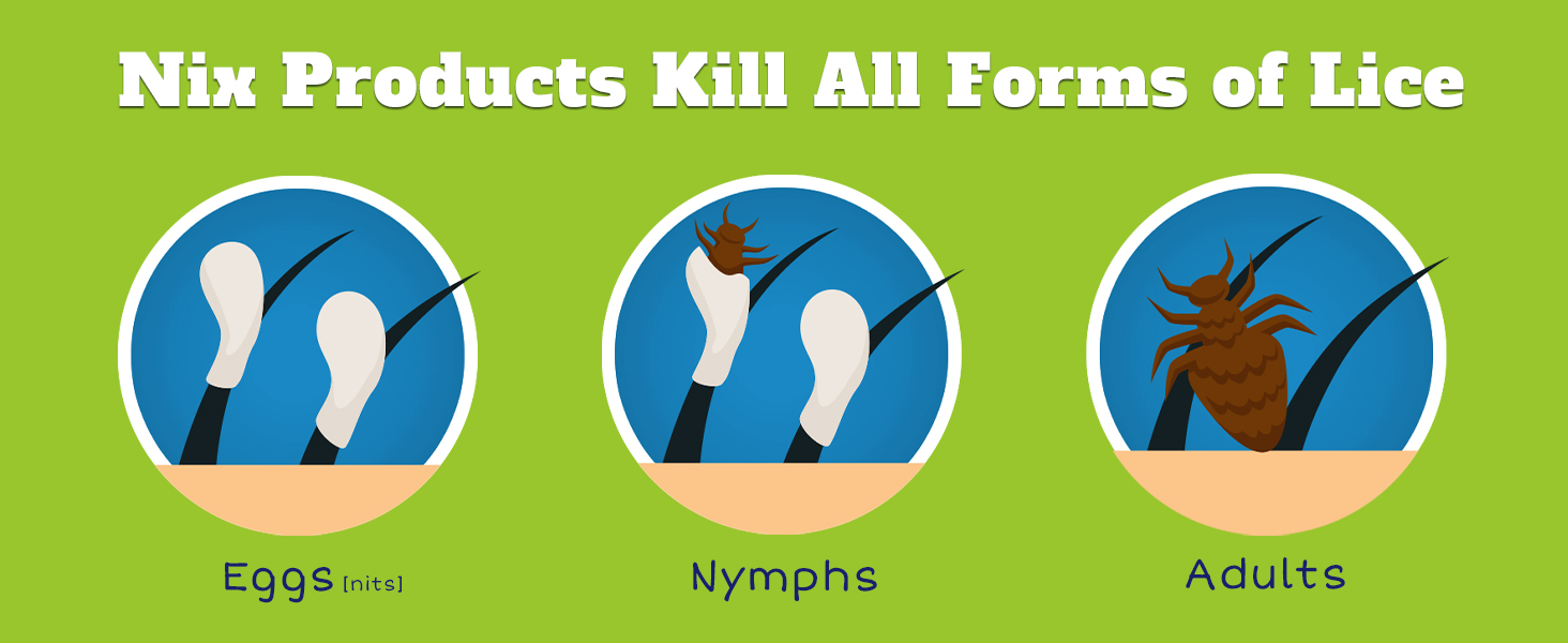 Nix shampoo effectively treats and kills all forms of lice, from eggs, kits, pupa, and adults.