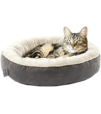 https://m.media-amazon.com/images/I/41WrfqDuWpL.__AC_SR200,225___.jpg