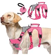 PUPTECK Escape Proof Dog Harness and Leash Set Upgraded No Pull Reflective Dog Vest with Lift Han...