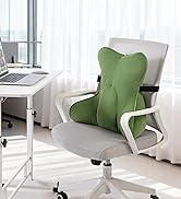 Ailuteie Lumbar Support Pillow for Lower Back Pain Relief – Multi-Functional Ergonomic Lumbar Cus...