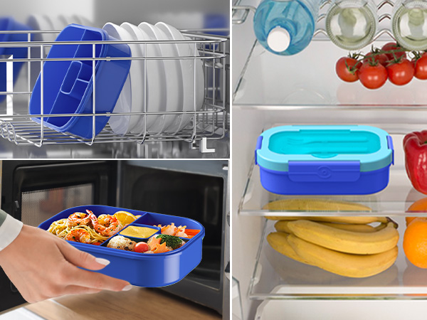 lunch container