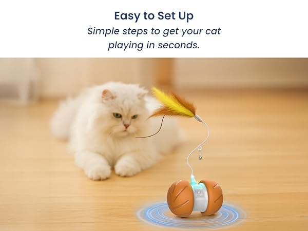 Easy setup cat toy