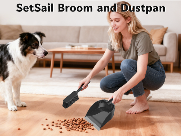 Small Dustpan and Brush Set