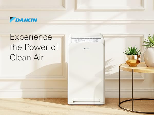 Experience the power of clean air for home and office