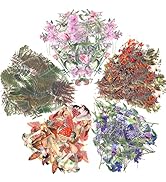 200 Pcs Floral Scrapbooking Vintage Stickers, Self-Adhesive Flowers Stickers for Journaling Card ...