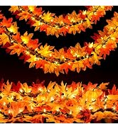 OCATO Fall Decor Fall Decorations for Home: Thanksgiving Decorations 10.8 FT Plug in Fall Garland...