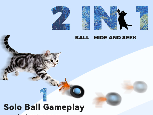 cat toys