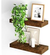 Fun Memories Floating Shelves for Wall, 20Inch Floating Shelves Set of 2, Hanging Shelf with Invi...