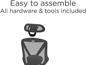 STAPLES Dexley Ergonomic Mesh Swivel Task Chair, Black (UN56946)