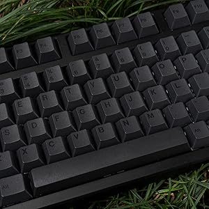 pbt keycaps