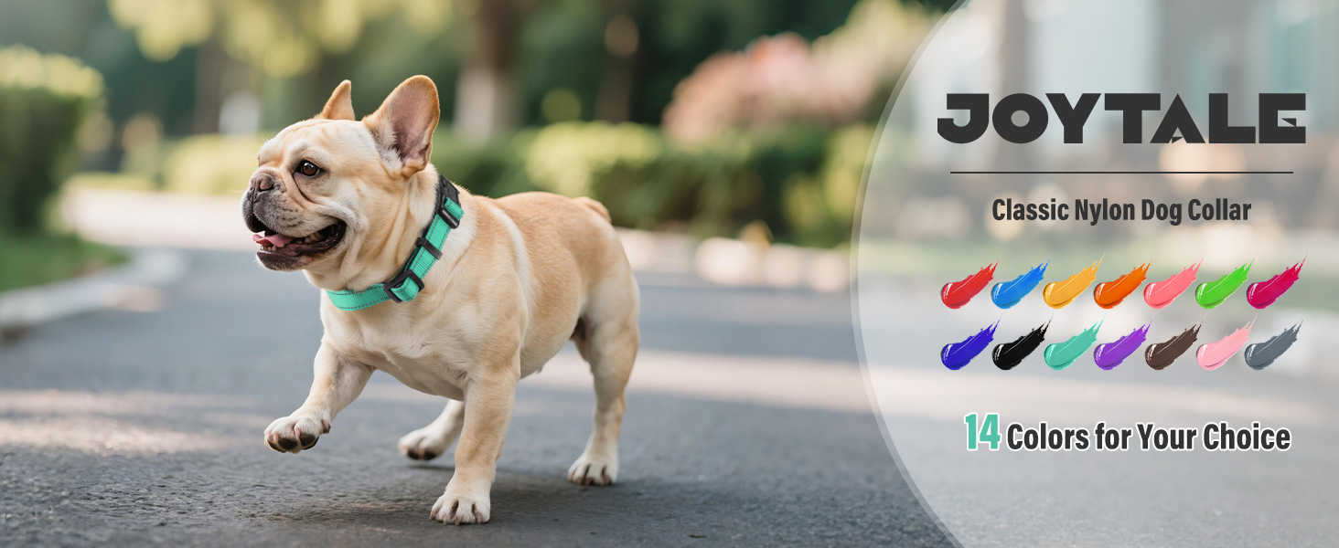 small dog collar