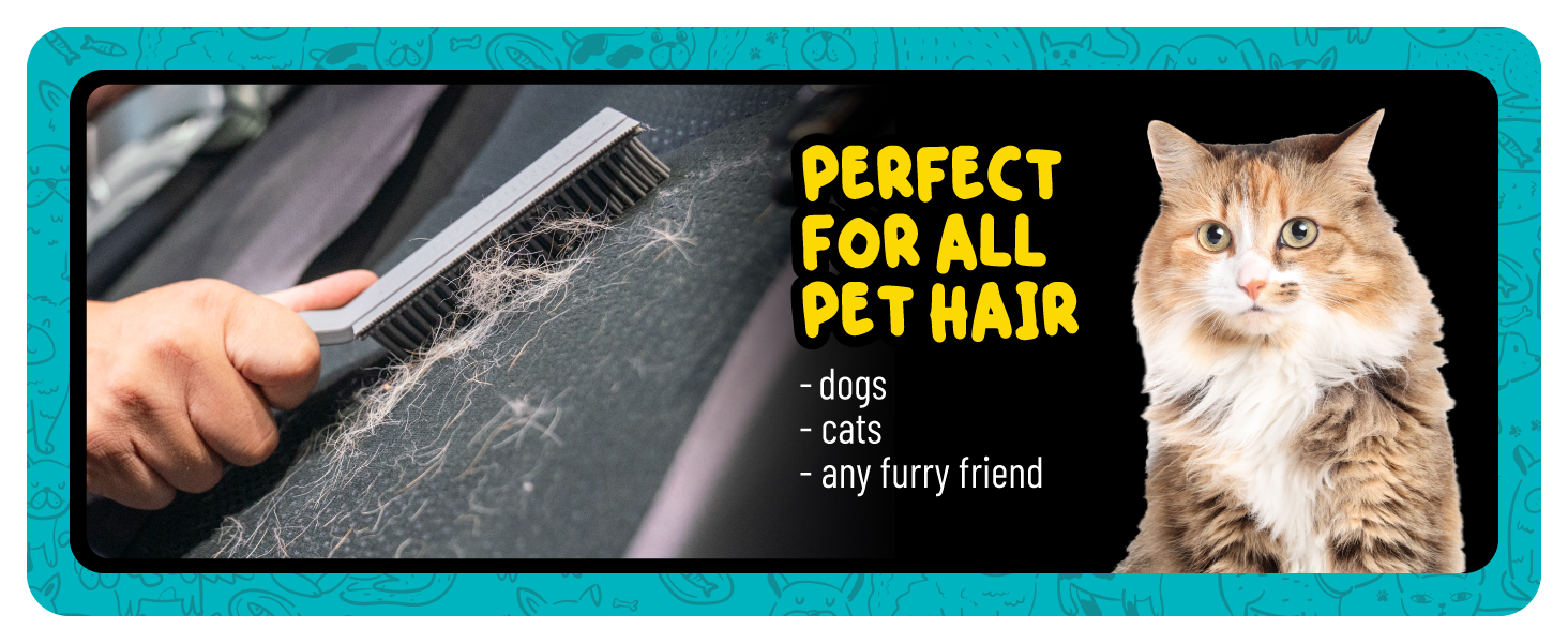 The pet hair removal brush detailers trust for deep-embedded fur in fabric seats.