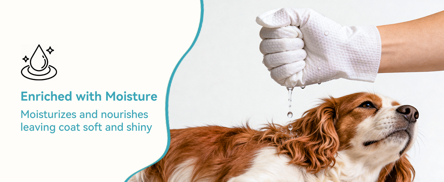 pet wipes for dogs