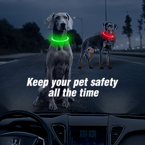 glow collar for dogs