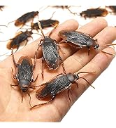 GUDVES Prank Fake Roaches Model Simulation Fake Rubber Cockroach Roach Bug Roaches Toy Prank Funn...