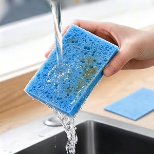 sponge