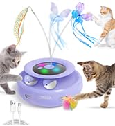 cat wand toy