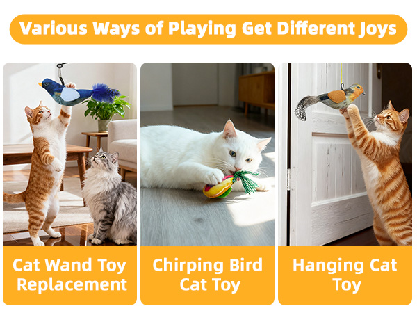 cat accessories for indoor cats,cat essentials,cat enrichment,cat deals,cat gifts,kitten toys
