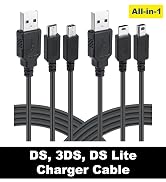 All-in-1 DS Charger