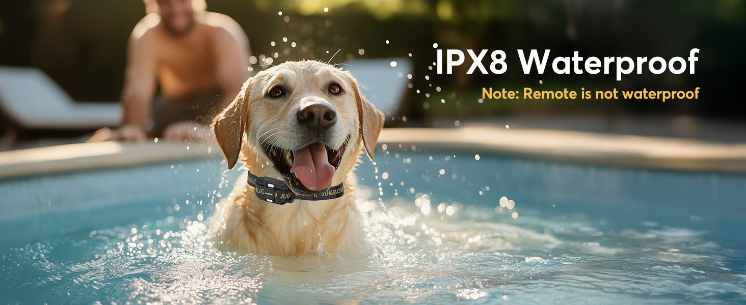 waterproof Shock Collar