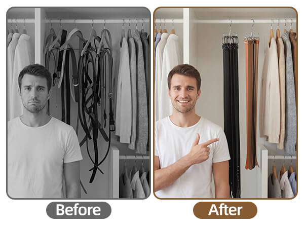 belt hanger for closet