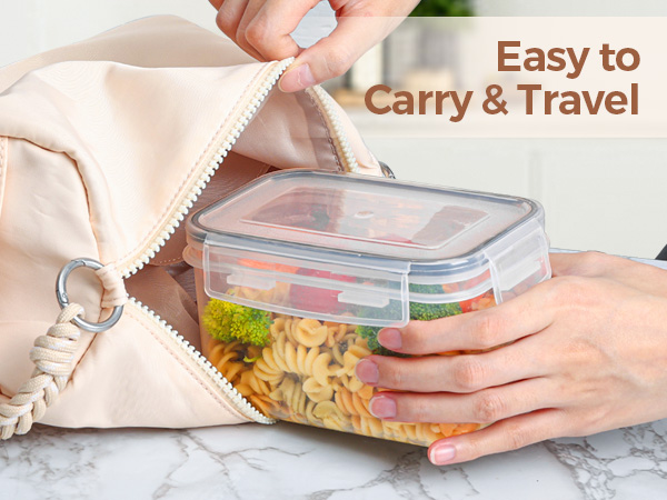 portable food container