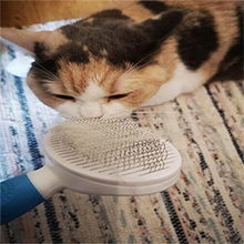great brush for pets