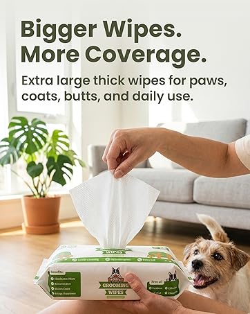 Bigger Wipes. More Coverage.